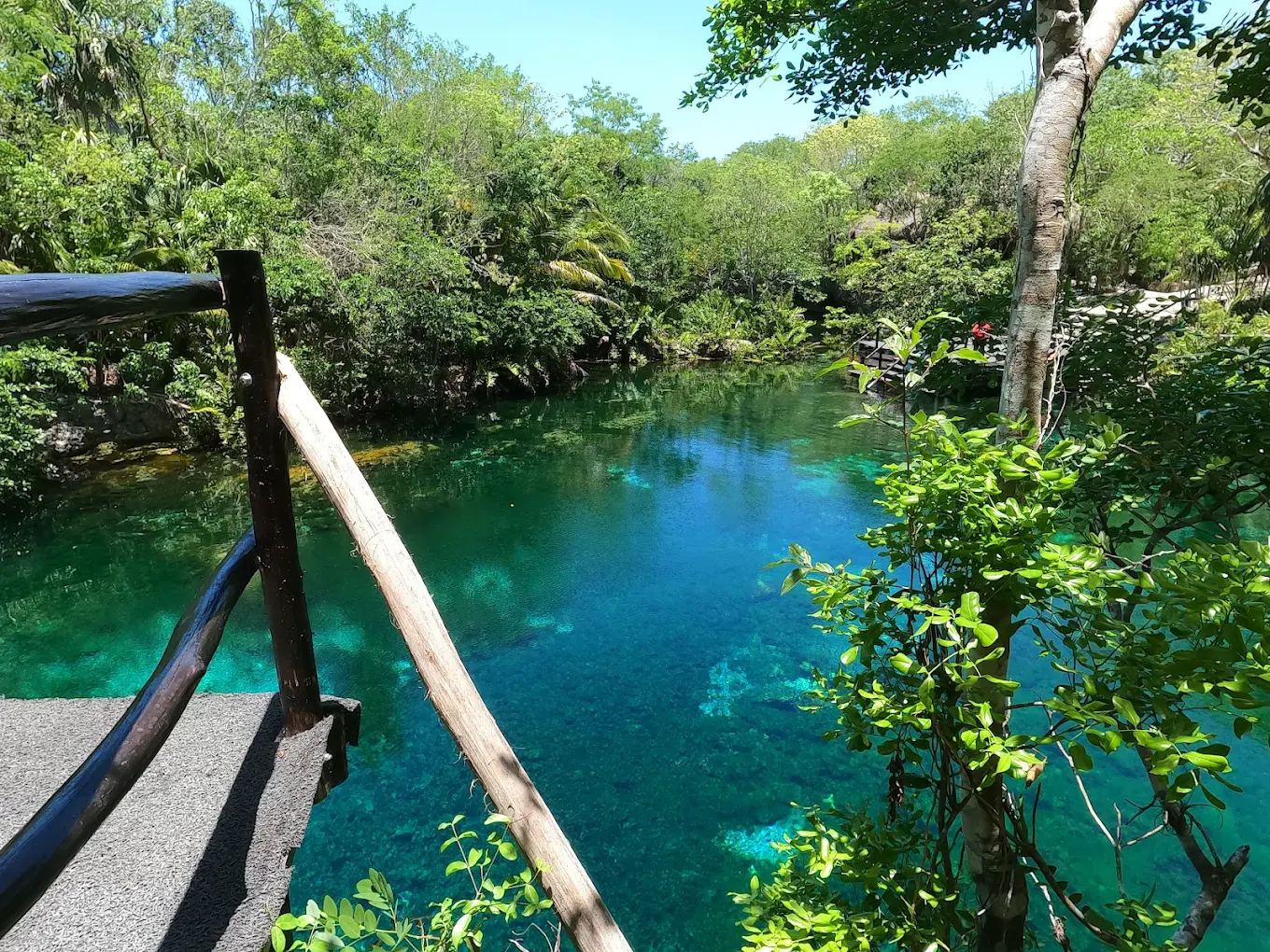 Entrada Caleta Yalkú