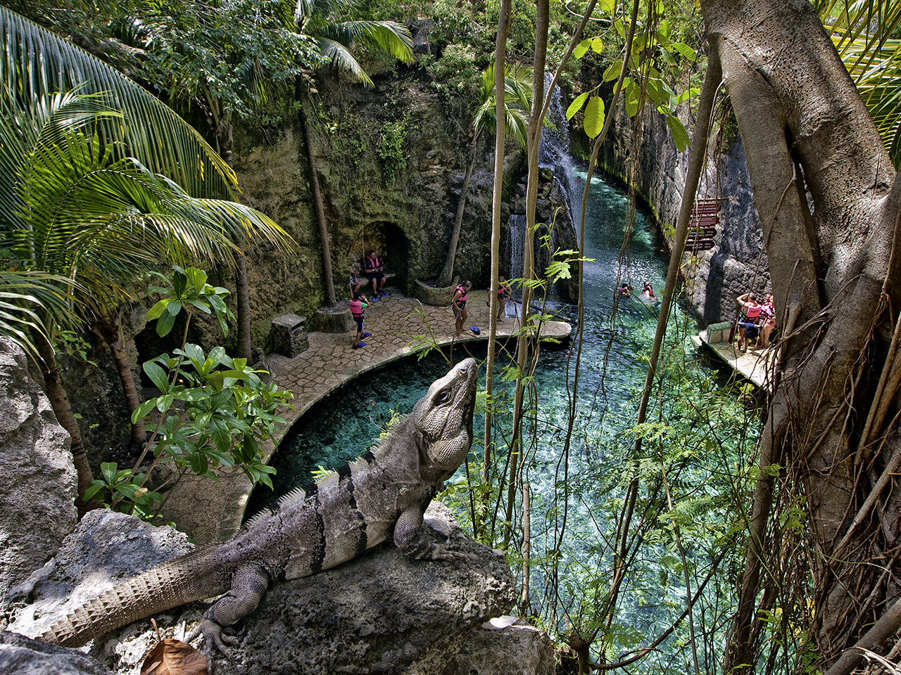ENTRADA XCARET PLUS