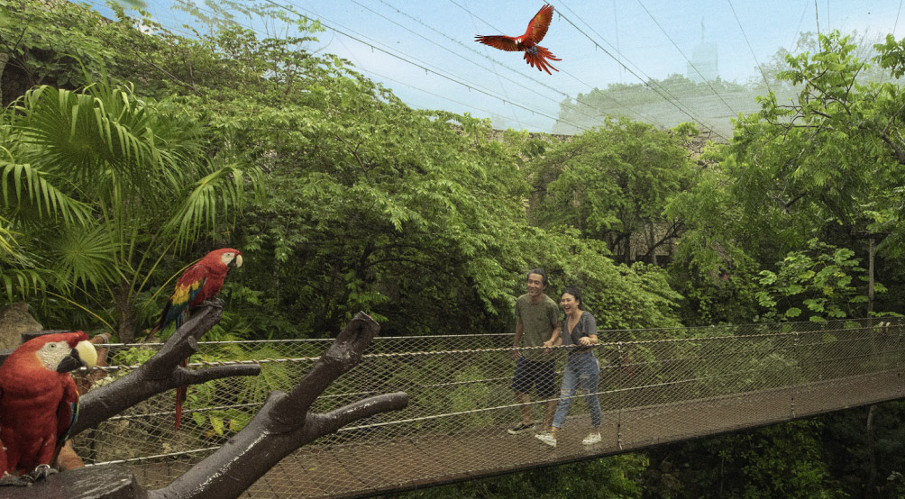 ENTRADA XCARET PARQUE