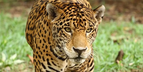 TOUR XCARET PARQUE 2