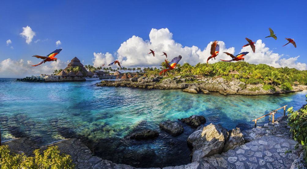 ENTRADAS XPERIENCES 2